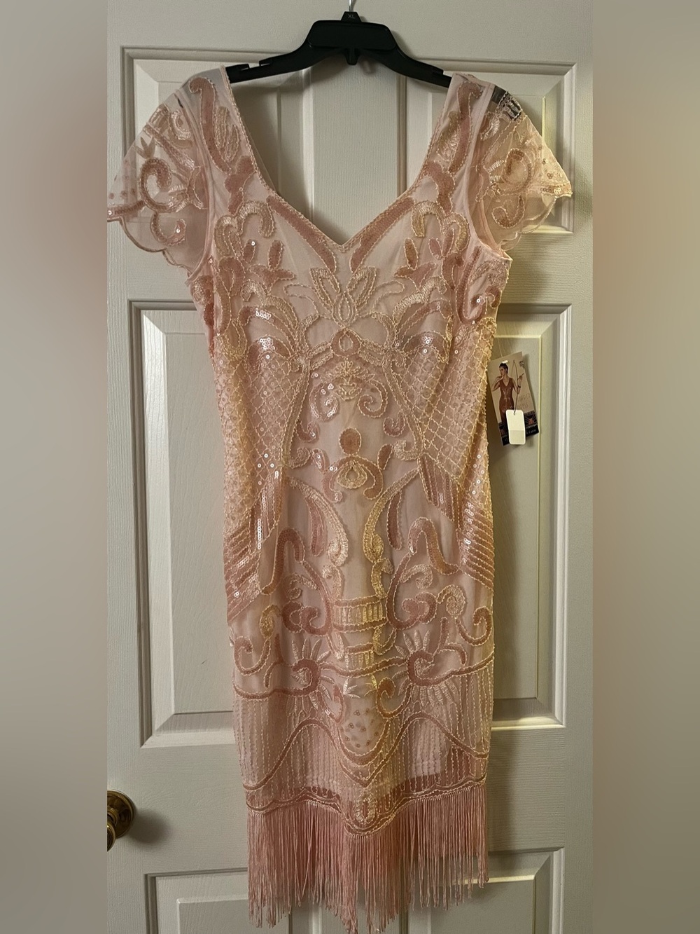Beautiful Blush Pink Beaded Fringe Dress